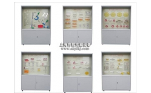 YL-515型《公差配合》示教陈列柜